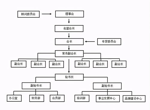 哔哩哔哩专栏